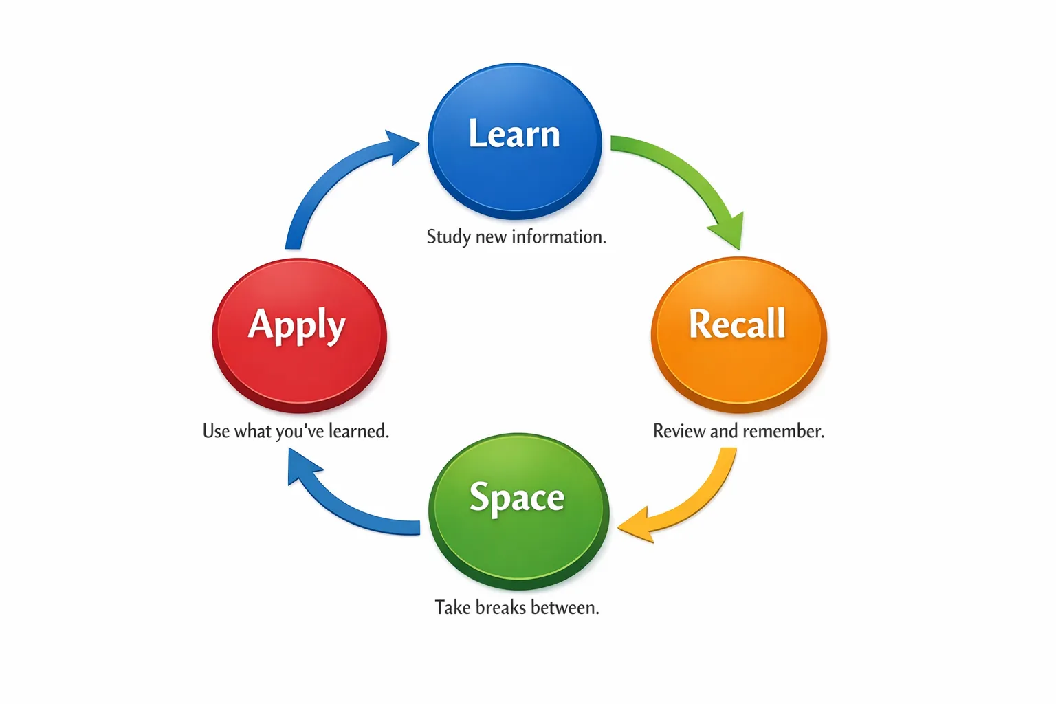 A simple four-stage loop diagram labelled Learn, Recall, Space, Apply, with arrows in a cycle and brief captions under each stage, designed as a clean infographic for students.