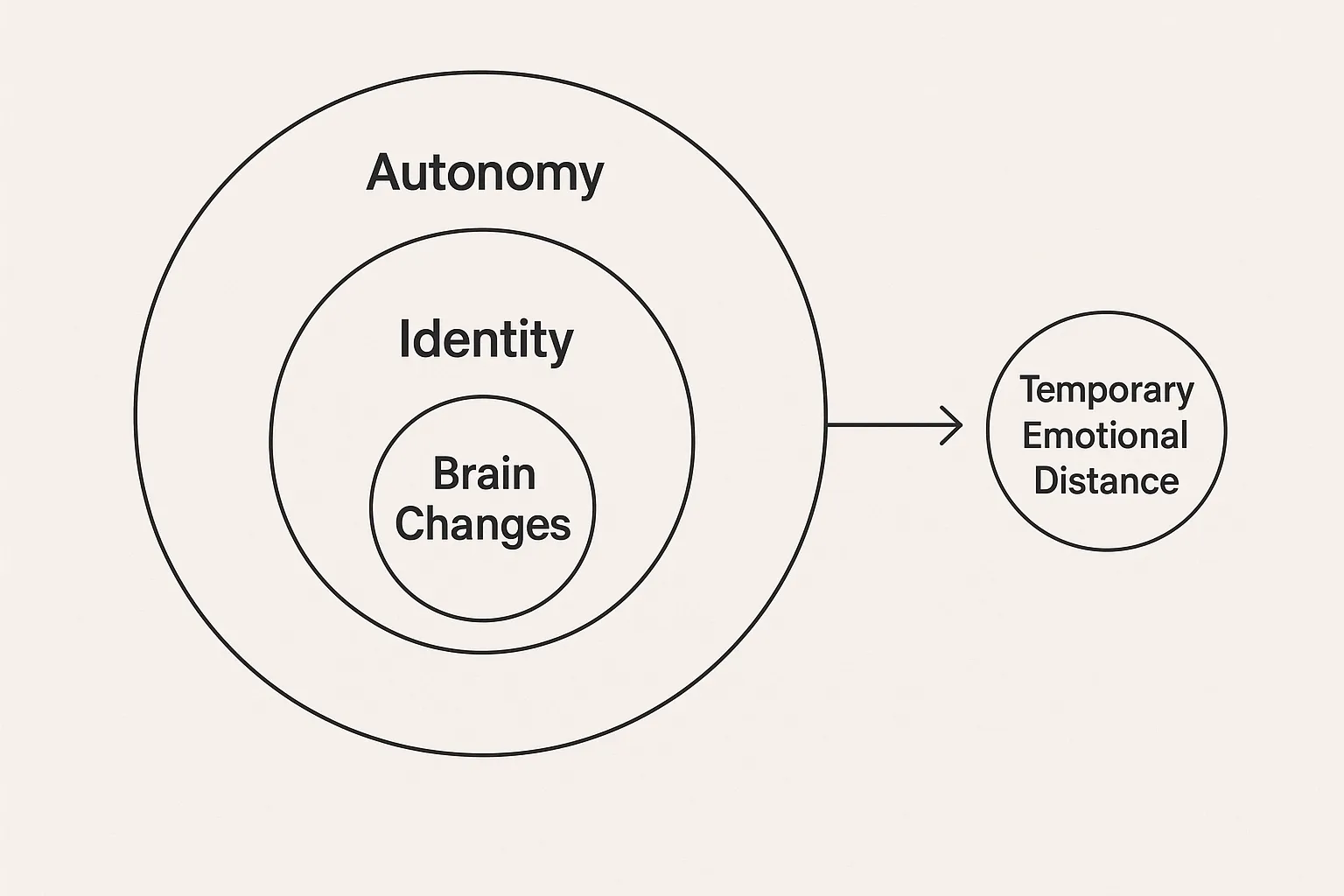 Minimalist infographic showing three concentric circles labeled Brain Changes, Identity, and Autonomy with arrows pointing to a smaller circle labeled Temporary Emotional Distance.
