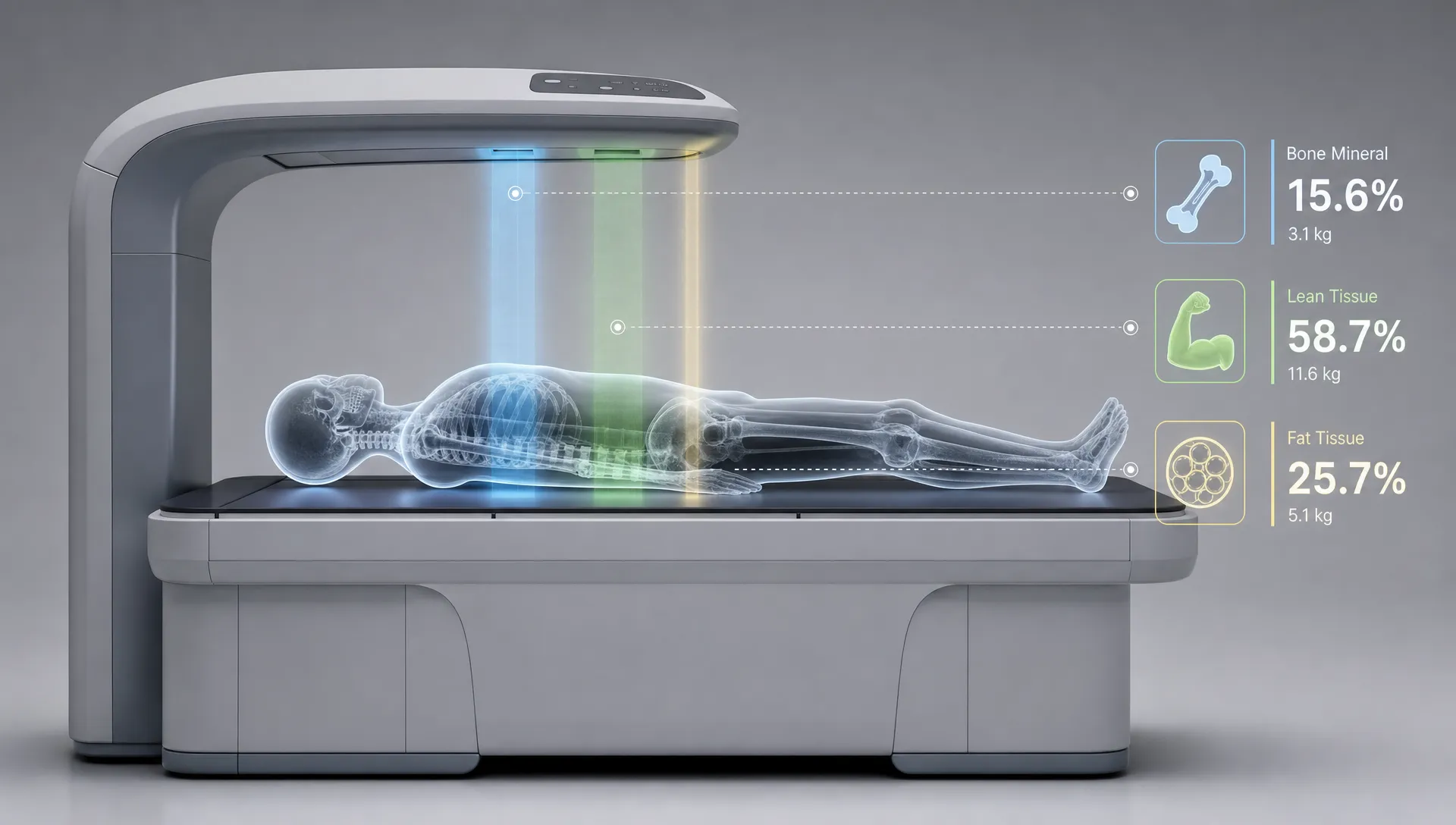 Landscape conceptual scene in a neutral space showing a simple human silhouette on a scanning table with measured bands passing through the torso and small readout markers separating bone mineral, lean tissue, and fat tissue. No people, wide composition, the body-reading idea is the focus rather than a literal clinic room.