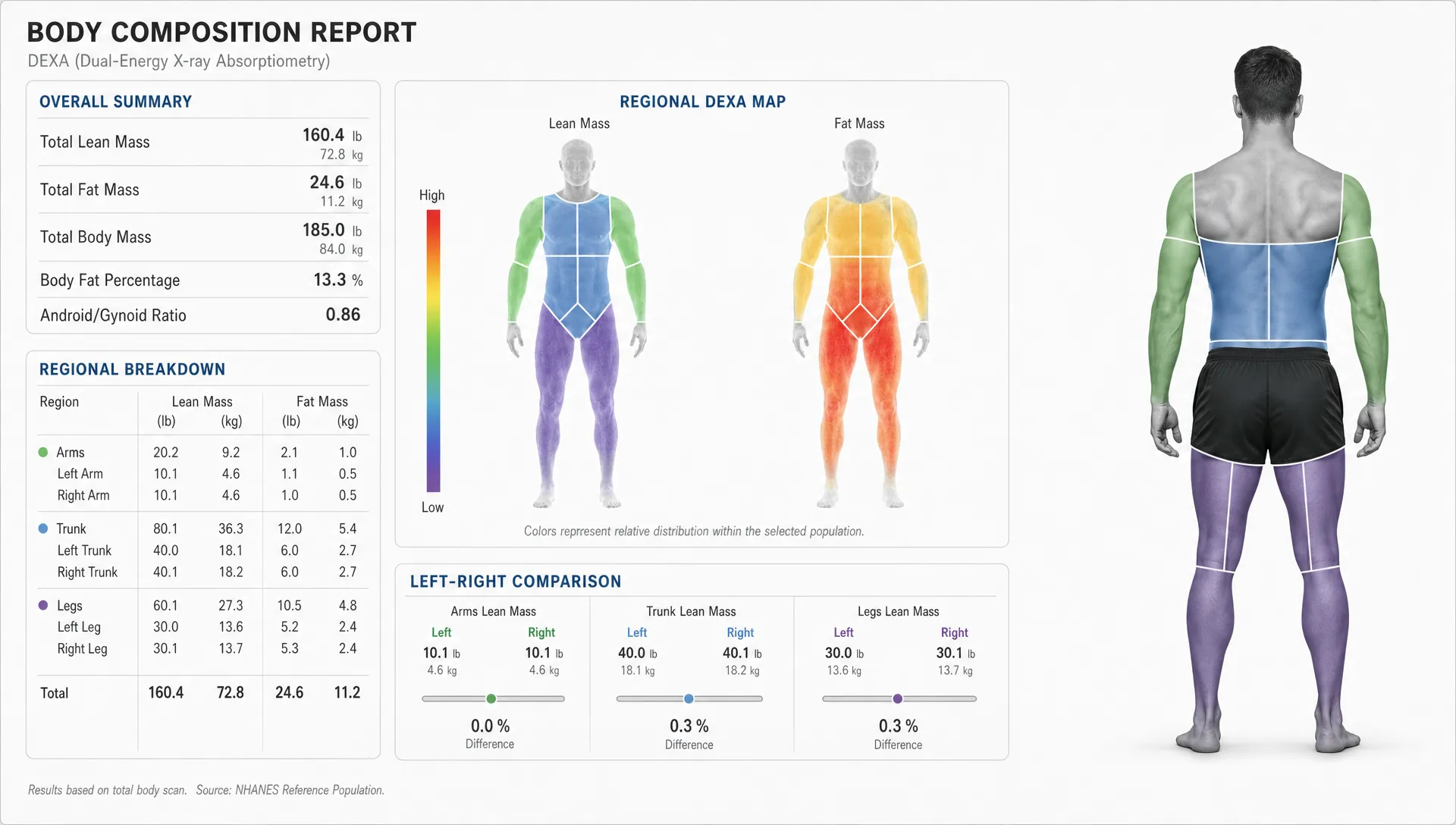 A body composition diagram showing a regional DEXA-style map with arms, legs, trunk, lean mass, fat mass, and left-right comparison indicators beside an athlete silhouette.