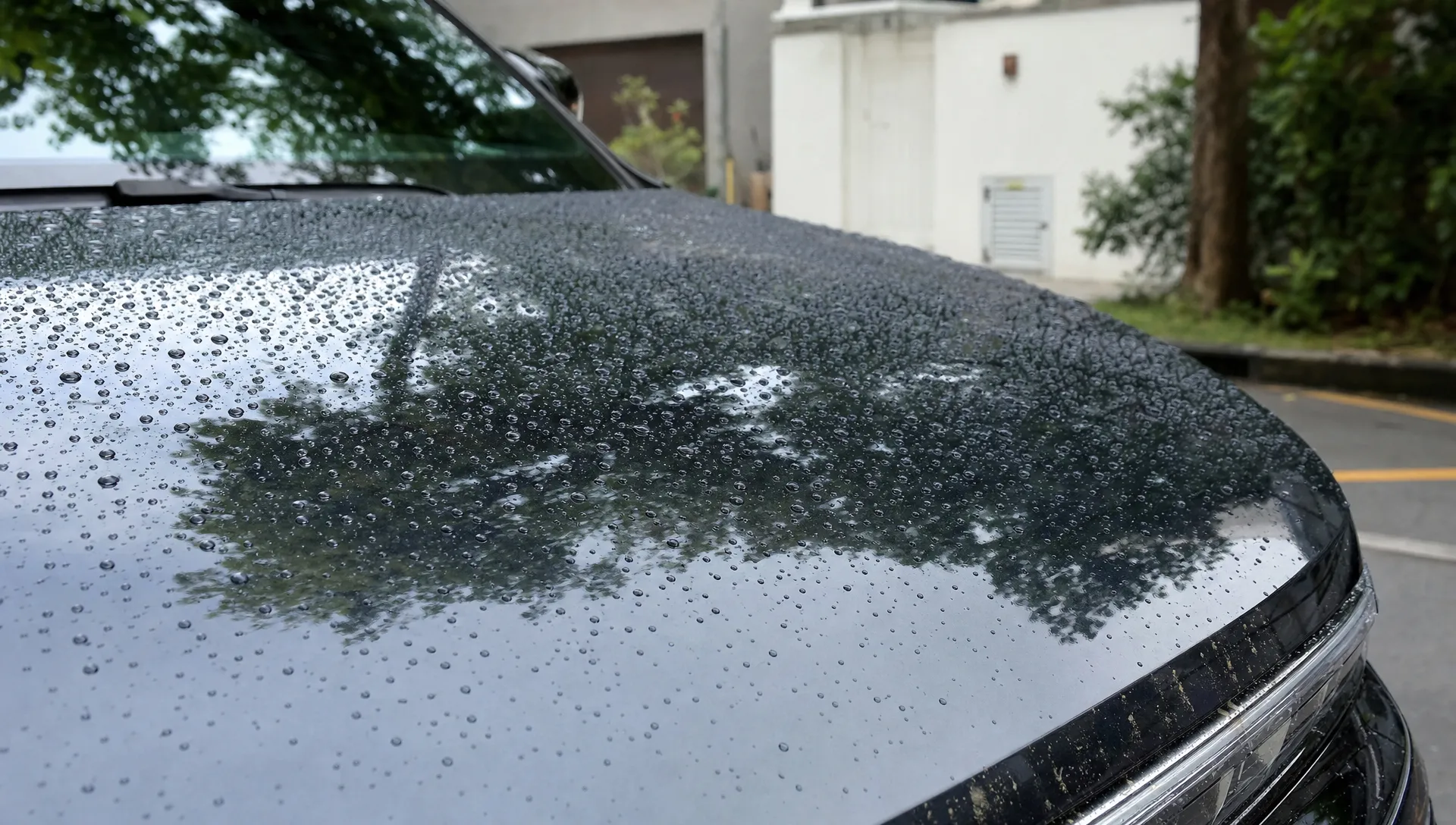 Landscape close-up of a ceramic-coated car bonnet after a rain shower, with tight water beads, crisp reflections of nearby trees, and a few dried mineral spots near the edge. No people, the bonnet fills most of the frame, and the background falls into a softly blurred residential driveway.