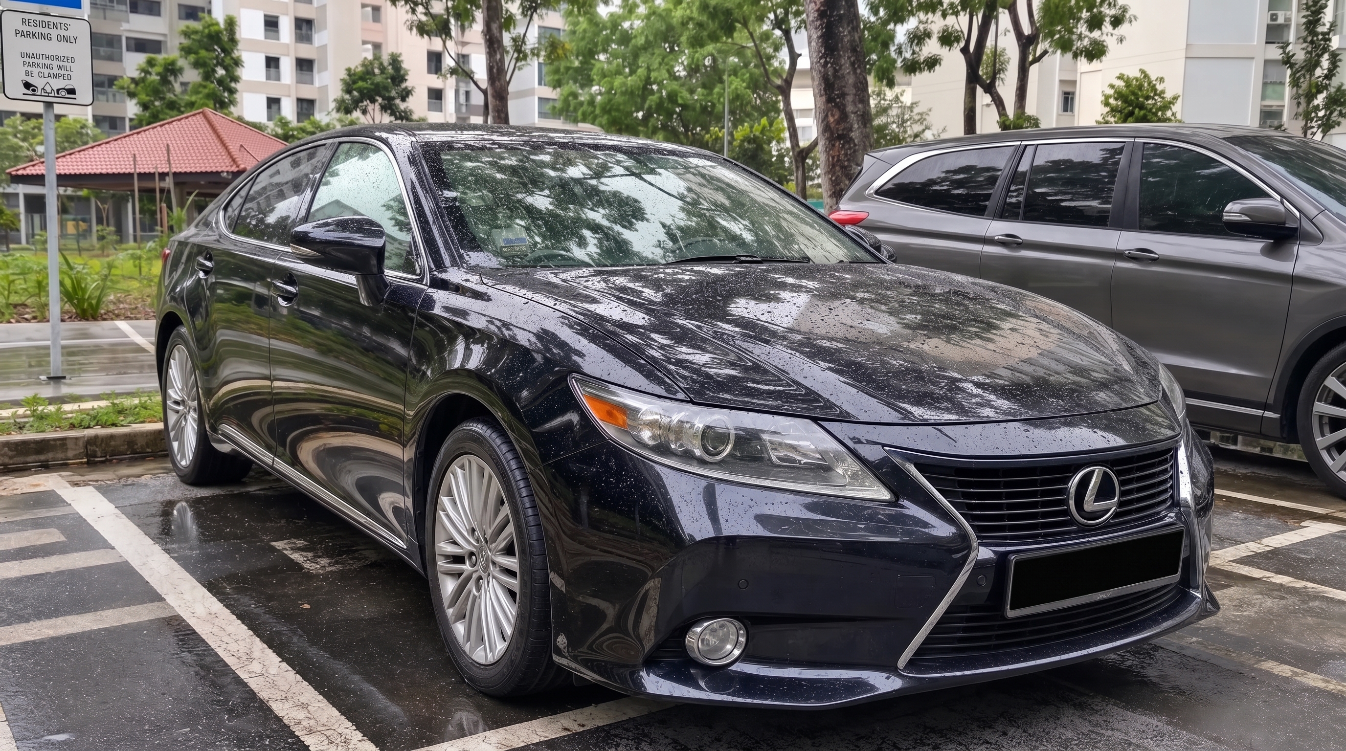 A glossy dark sedan in a Singapore carpark after rain, with water beads on the bonnet and clear reflections of nearby trees and buildings in the paint.