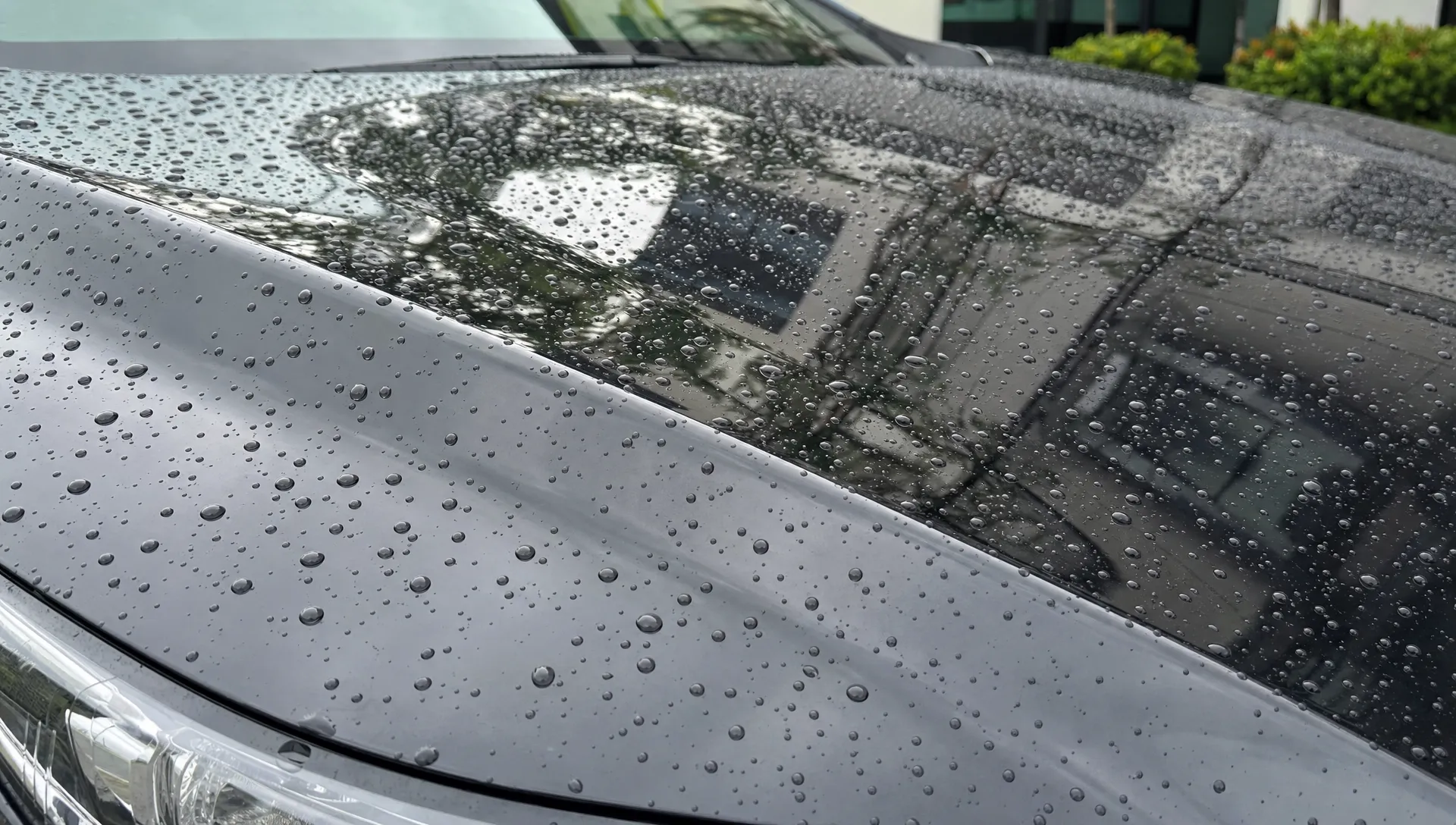 Close-up of a wet car bonnet with tight water beads and clear reflections showing ceramic coating protection.